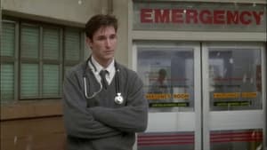 ER: Plantão Médico: 3×12