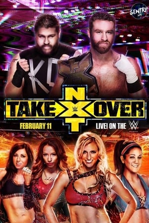 Poster NXT TakeOver: Rival 2015