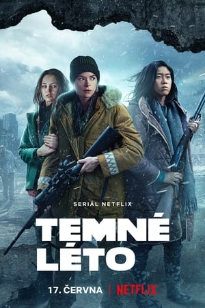 Poster Temné léto 2019