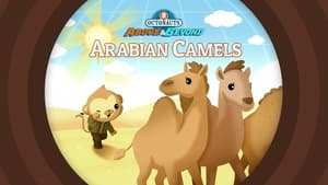 Octonauts: Above & Beyond Arabian Camels