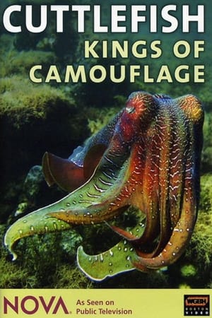 Poster Cuttlefish: Kings of Camouflage (1997)