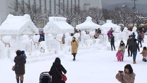 Journeys in Japan: 11×7