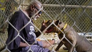 Pit Bulls and Parolees One Man's Treasure