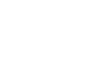 Ảnh 21