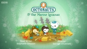 The Octonauts Season 1 Episode 43
