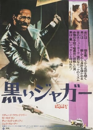 黒いジャガー (1971)