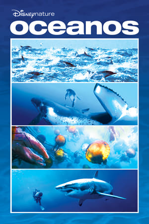 Poster Oceanos 2010