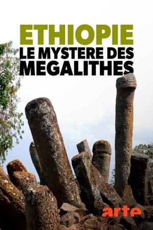 Poster Éthiopie, le mystère des mégalithes 2019