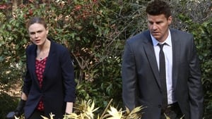 Bones Temporada 9 Capitulo 20