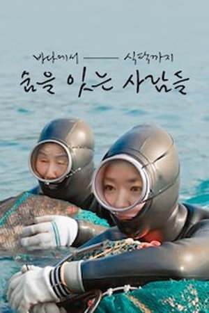 바다에서 식탁까지 숨을 잇는 사람들