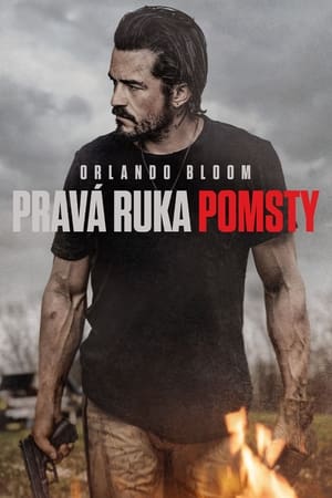 Poster Pravá ruka pomsty 2024