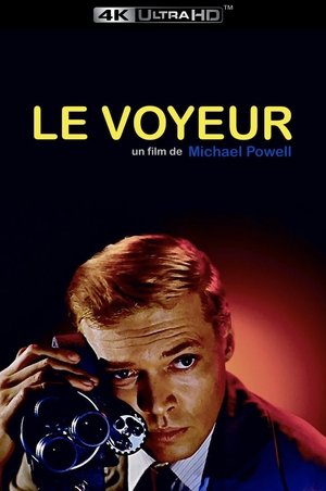 Image Le Voyeur