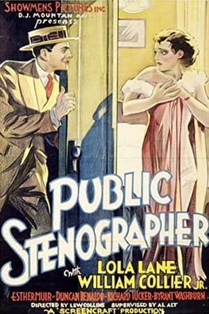 Public Stenographer