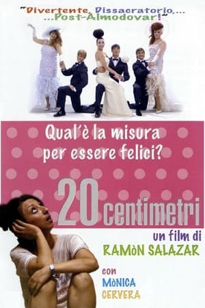 Poster 20 Centimetri 2005