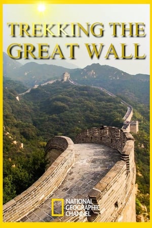 Poster Trekking the Great Wall (2011)