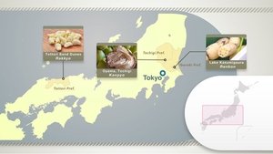 Journeys in Japan: 12×14