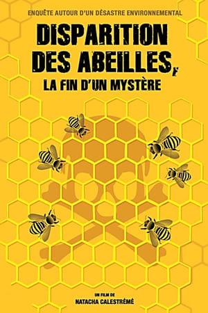 Image Disparition des abeilles, la fin d'un mystère