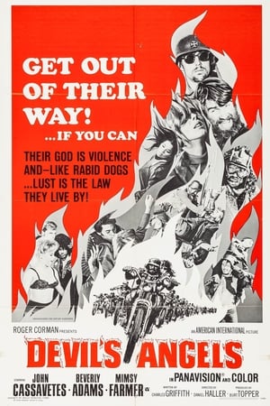 Devil's Angels poster