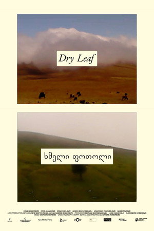 Dry Leaf 29