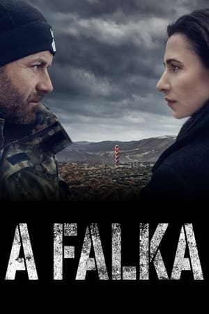 Poster A falka 2014