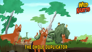 Image The Dhole Duplicator