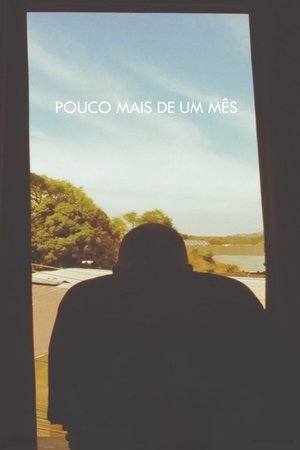 Pouco Mais de Um Mês (2013)