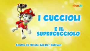 Paw Patrol 1×3