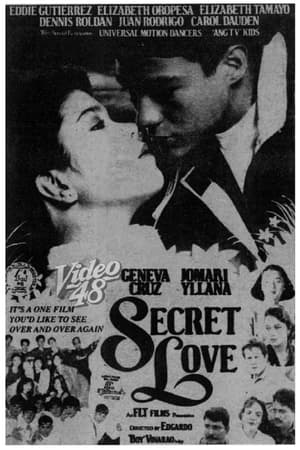 Poster Secret Love 1994