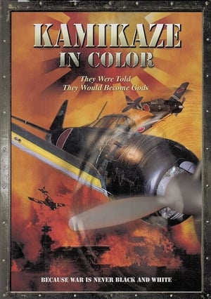Kamikaze in Color