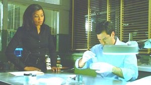 Person of Interest