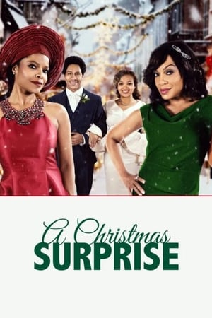 Poster di A Christmas Surprise