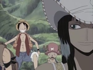 One Piece: Season 6 Episode 190