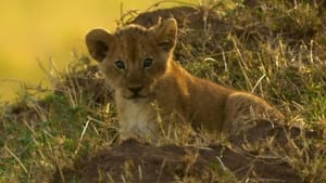 Peur sur la savane film complet