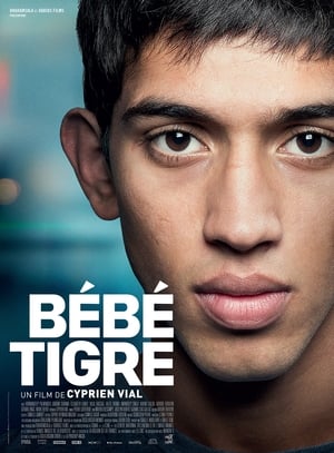 Poster Bébé tigre 2015