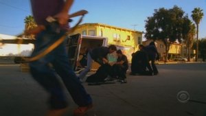 CSI Miami 5 episodio 14