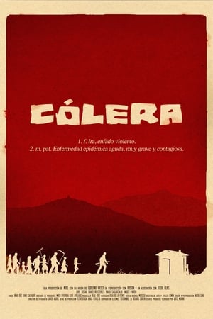 Poster Cólera 2013
