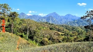 Le Honduras Entre forêt tropicale et plages
