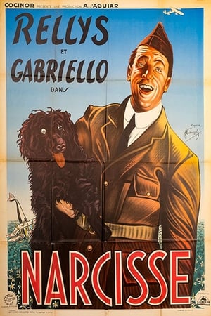 Poster Narcisse 1940