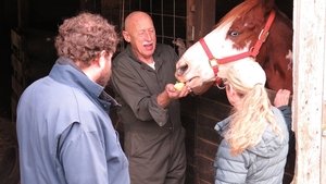 The Incredible Dr. Pol: 21×7