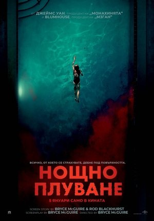 Poster Нощно Плуване 2024