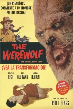 Poster Los colmillos del lobo 1956