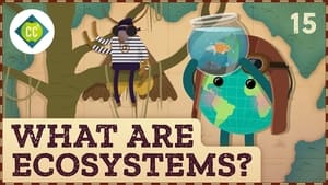 Crash Course Geography What Are Ecosystems?