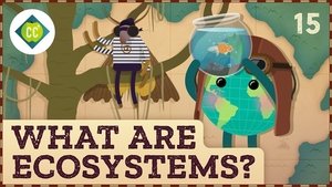What Are Ecosystems?