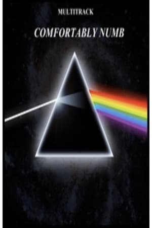 Poster Pink Floyd - Comfortably Numb 2005