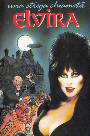 Poster Una strega chiamata Elvira 1988
