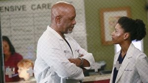 Grey’s Anatomy 11 episodio 16