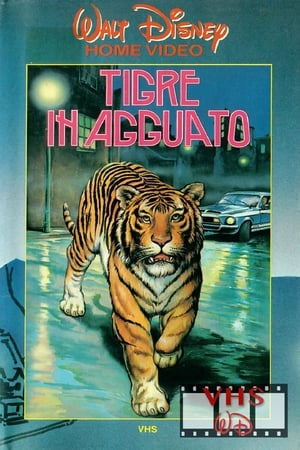 Tigre in agguato