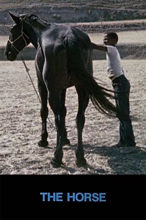 Poster The Horse (1973)