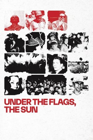 Under the Flags, the Sun (2026)
