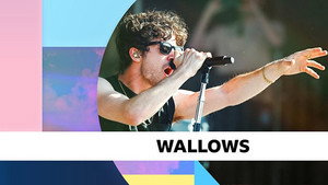 Wallows - Episode 34